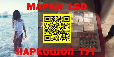 apvp Краснодар