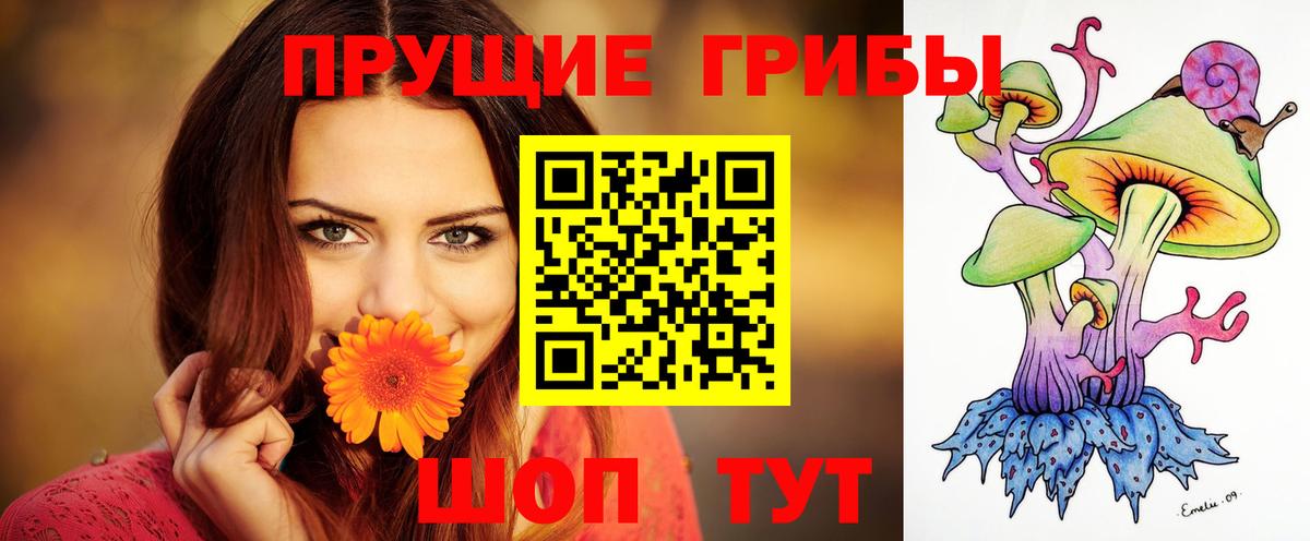Заводоуковск  Псилоцибиновые грибы Magic Shrooms  Галлюциногенные грибы GOLDEN TEACHER  Вход с VPN 